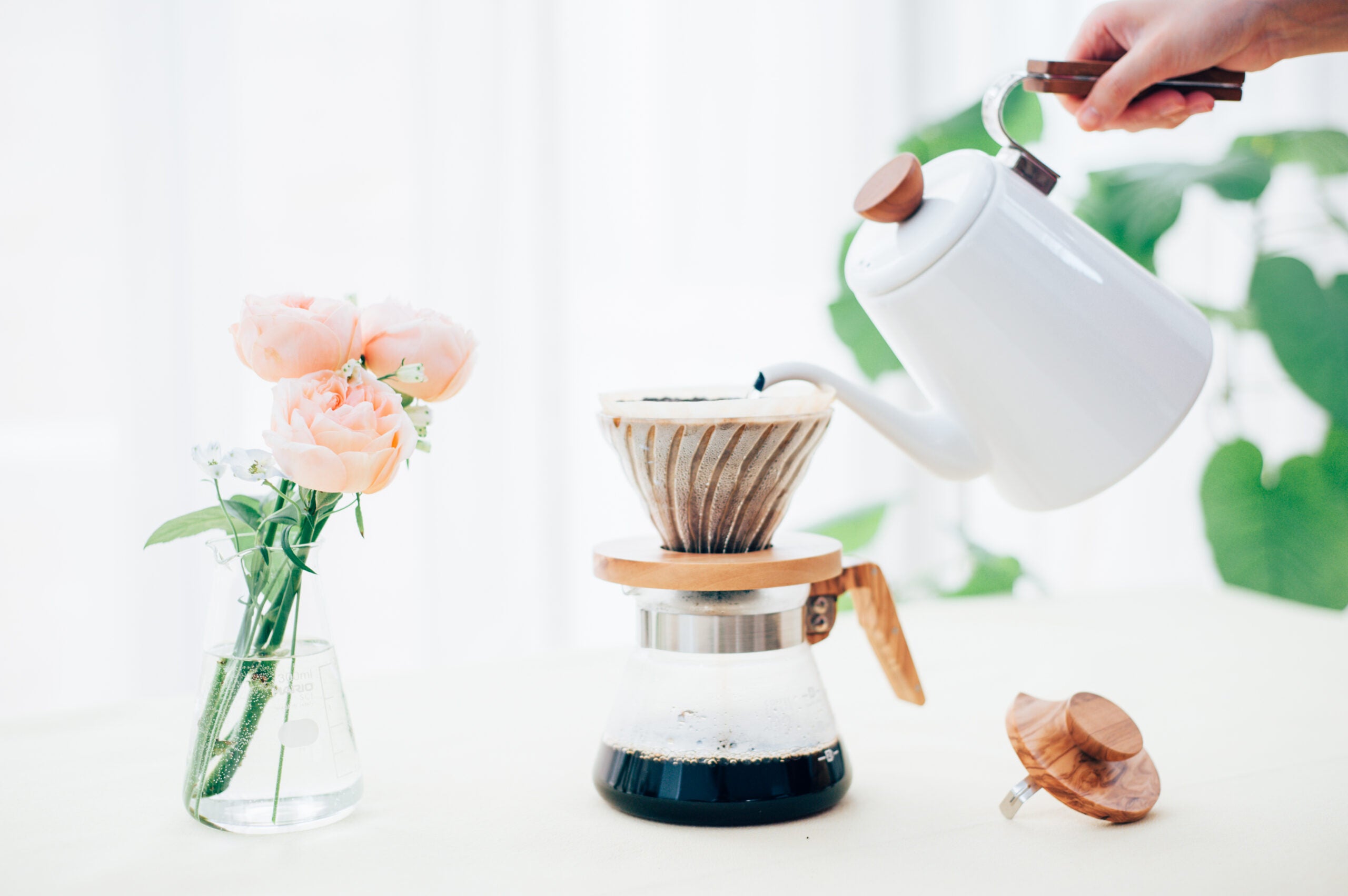 Hario V60 Olive Wood