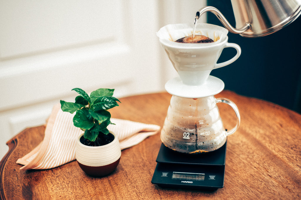 HARIO V60 Keramikk